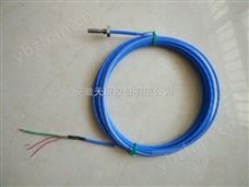 TP/WZPTYRT安徽天康特制測溫熱電阻