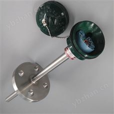 帶熱電阻溫度變送器