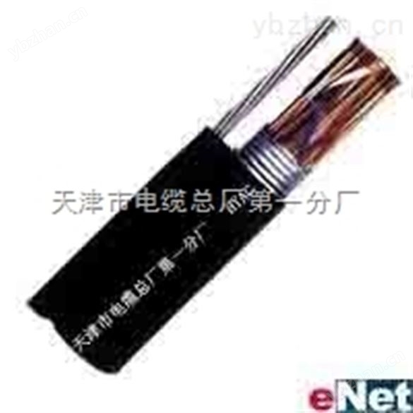 RVVZ通信電源用阻燃軟電纜RVVZ  1*240   300
