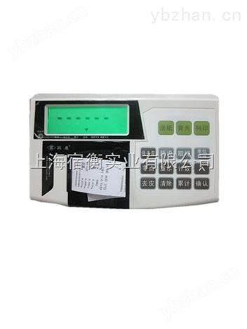 XK3150-W-FB53打印儀表，上海規矩XK3150（W）FB53顯示器