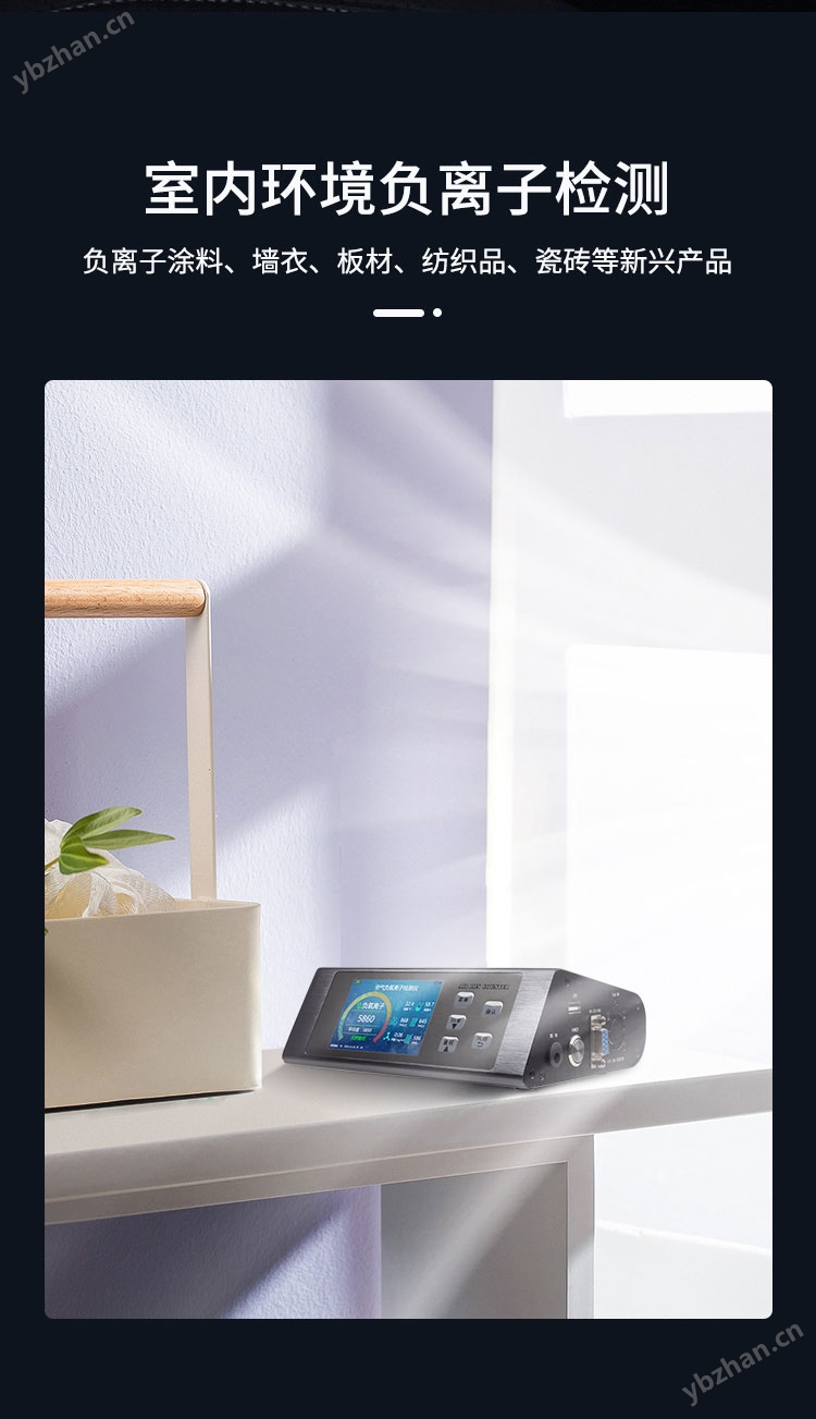 空气负离子检测仪13