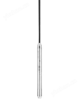 靜壓式 液位測量 Waterpilot FMX21